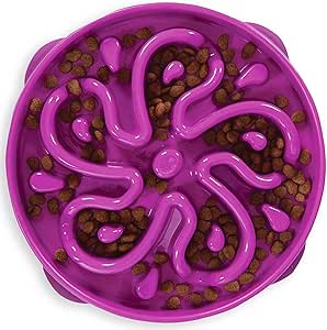 Outward Hound Fun Feeder Slo Bowl ā Large 4āCup Capacity, Slow Feeding, Medium to Large Dogs, NonāSlip, Purple, Flower Pattern