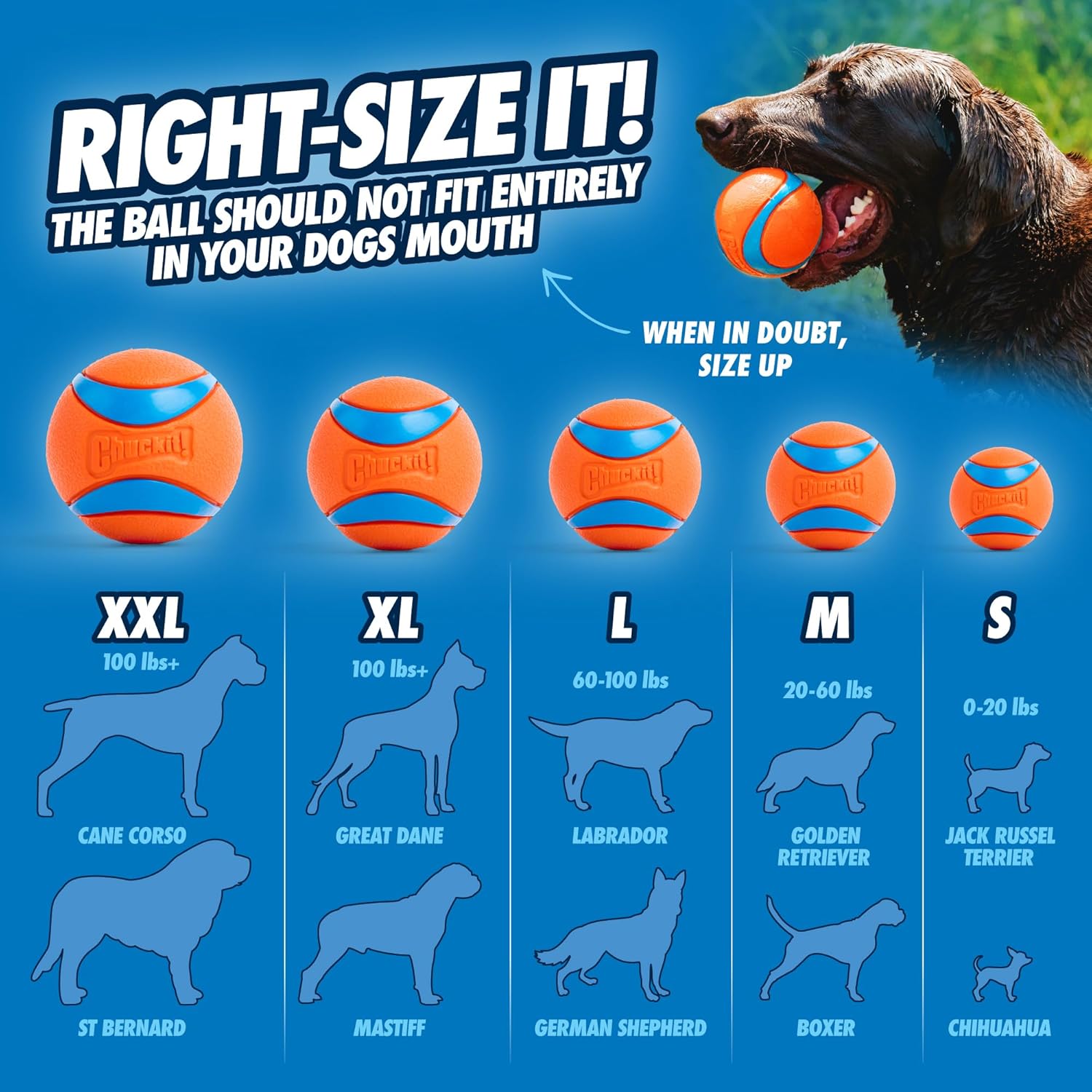 Chuckit! Sport 14S Ball Launcher for Small Dogs, 14-Inch Manual Thrower with 2-Inch Ball, Fits Dogs up to 20 lbs - Image 4