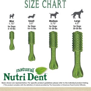 Alternative view of Nylabone Nutri Dent Natural Dental Chews for Dogs, Limited Ingredient Dog Treats Made in the USA, Clean Teeth & Fresh Breath, Healthy Dog Chews, Fresh Breath Flavor, For X-Small Dogs, (78 Count)