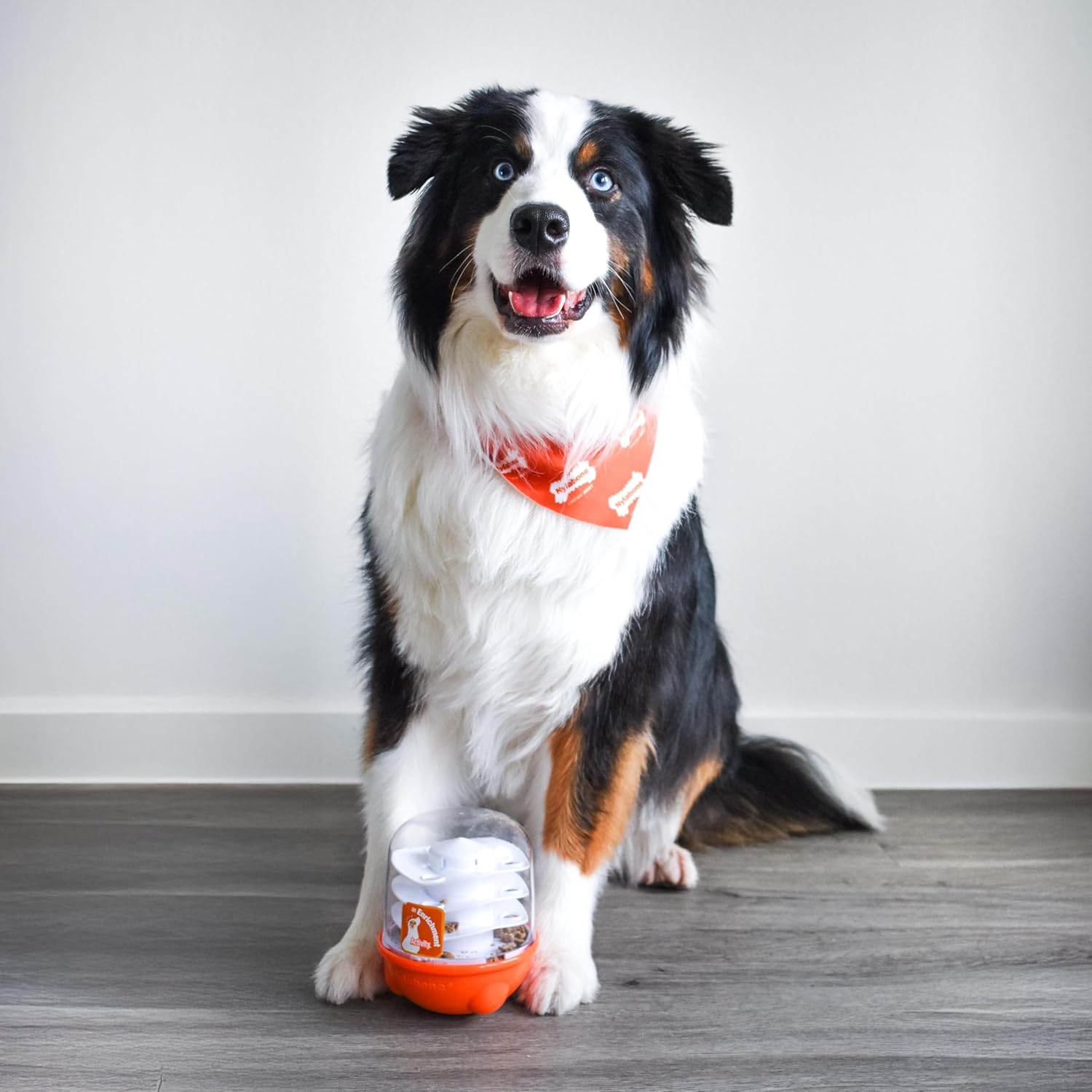 Nylabone Boop-N-Bobble Interactive Puzzle Toy & Treat Dispenser for Dogs, Mental Stimulating Dog Enrichment Toys, Treat Ball with 3 Customizable Challenge Levels - Image 5