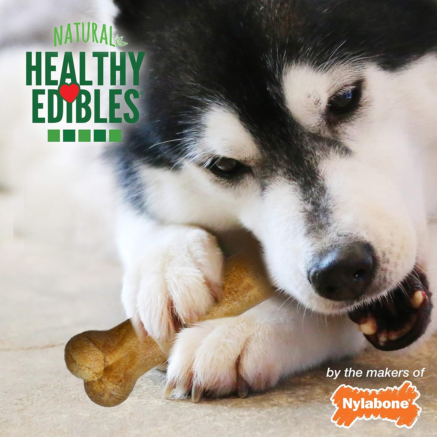 Nylabone Healthy Edibles Natural Dog Chews Long Lasting Roast Beef & Chicken Flavor Treats for Dogs, Small/Regular (24 Count) - Image 4
