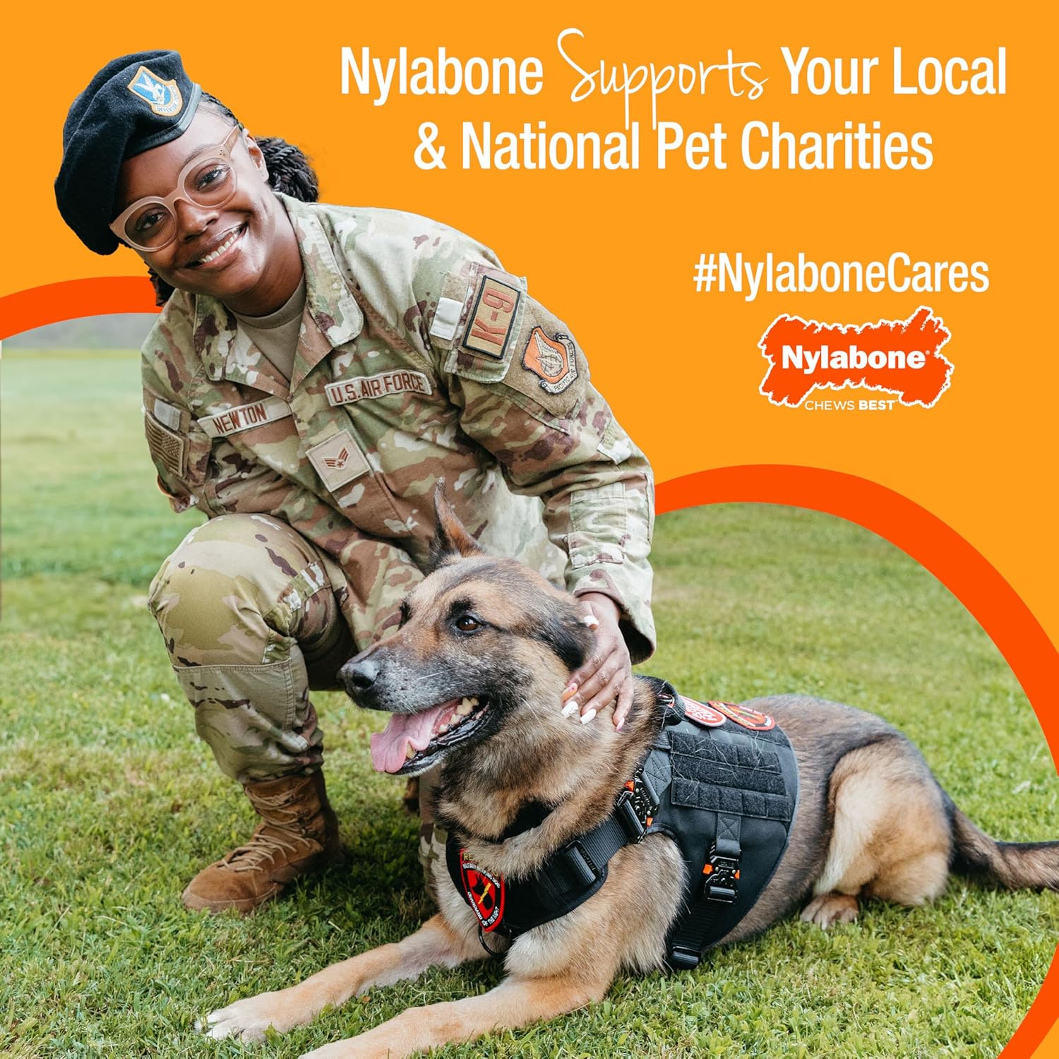 Nylabone Healthy Edibles Natural Dog Chews Long Lasting Roast Beef & Chicken Flavor Treats for Dogs, Small/Regular (24 Count) - Image 6